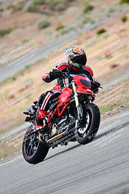 media/Apr-26-2025-2WTD (Sat) [[797c348bd3]]/C Group/240pm/